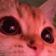 KolyantoZzz